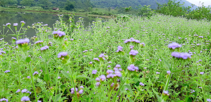 Khám[-]phá[-]vẻ[-]đẹp[-]của[-]những[-]hồ[-]đập[-]ở[-]Nghi[-]Xuân